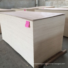 Hot sell 1220*2440mm veneer blackboard/plywood